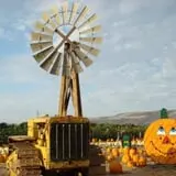 Spina Farms Pumpkin Patch photo