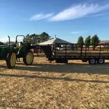 Spina Farms Pumpkin Patch photo