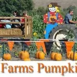 Spina Farms Pumpkin Patch photo