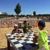 Spina Farms Pumpkin Patch photo