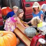 Spina Farms Pumpkin Patch photo