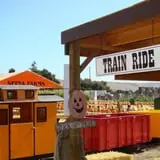 Spina Farms Pumpkin Patch photo