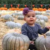 Spina Farms Pumpkin Patch photo