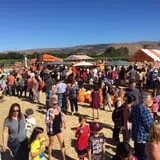 Spina Farms Pumpkin Patch photo