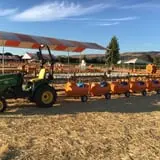 Spina Farms Pumpkin Patch photo