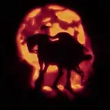 Spina Farms Pumpkin Patch photo