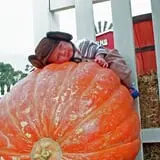Spina Farms Pumpkin Patch photo