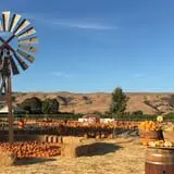 Spina Farms Pumpkin Patch photo