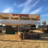 Spina Farms Pumpkin Patch photo