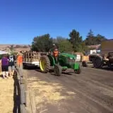 Spina Farms Pumpkin Patch photo