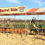 Spina Farms Pumpkin Patch photo