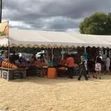 Spina Farms Pumpkin Patch photo