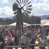 Spina Farms Pumpkin Patch photo