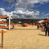 Spina Farms Pumpkin Patch photo