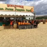 Spina Farms Pumpkin Patch photo
