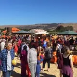 Spina Farms Pumpkin Patch photo