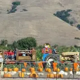 Spina Farms Pumpkin Patch photo