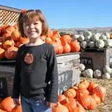 Spina Farms Pumpkin Patch photo