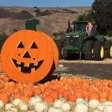 Spina Farms Pumpkin Patch photo