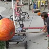 Spina Farms Pumpkin Patch photo