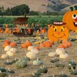 Spina Farms Pumpkin Patch photo
