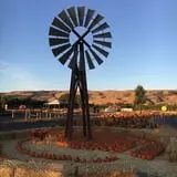 Spina Farms Pumpkin Patch photo