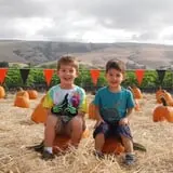 Spina Farms Pumpkin Patch photo