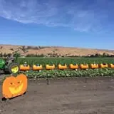 Spina Farms Pumpkin Patch photo