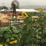 Spina Farms Pumpkin Patch photo