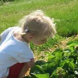 Malvitz Bay Farms photo