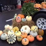 Malvitz Bay Farms photo