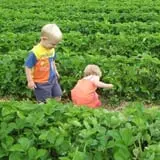 Malvitz Bay Farms photo