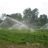 Malvitz Bay Farms photo