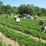 Malvitz Bay Farms photo