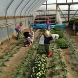 Malvitz Bay Farms photo