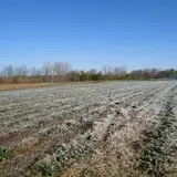 Malvitz Bay Farms photo