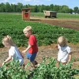 Malvitz Bay Farms photo