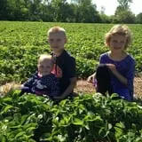 Malvitz Bay Farms photo