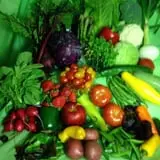 Malvitz Bay Farms photo