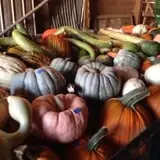 Malvitz Bay Farms photo