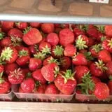 Malvitz Bay Farms photo