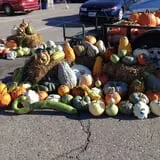 Malvitz Bay Farms photo