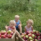 Malvitz Bay Farms photo