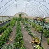 Malvitz Bay Farms photo
