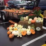 Malvitz Bay Farms photo