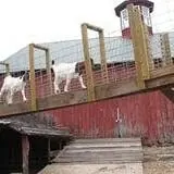 Appleberry Orchard photo