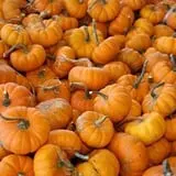 Appleberry Orchard photo