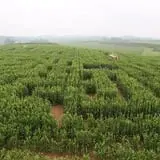 Appleberry Orchard photo