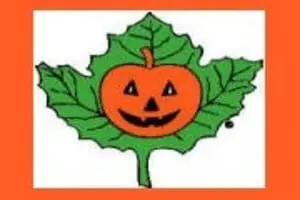 The Sycamore Pumpkin Festival
