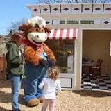 Davis Farmland & Mega Maze photo